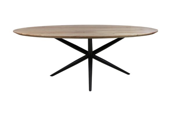 Eettafel Zurich ovaal – 200x100x77 – Naturel – Acaciahout/metaal foto 1