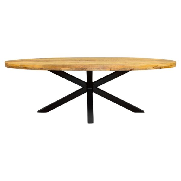 Eetkamertafel Denver | Ovaal | Mangohout | 180 cm foto 1