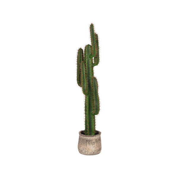 LABEL51  Cactus – Groen – Kunststof – 130 foto 1