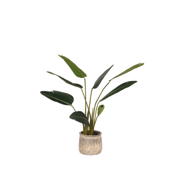 LABEL51  Strelitzia – Groen – Kunststof – 100 cm foto 1