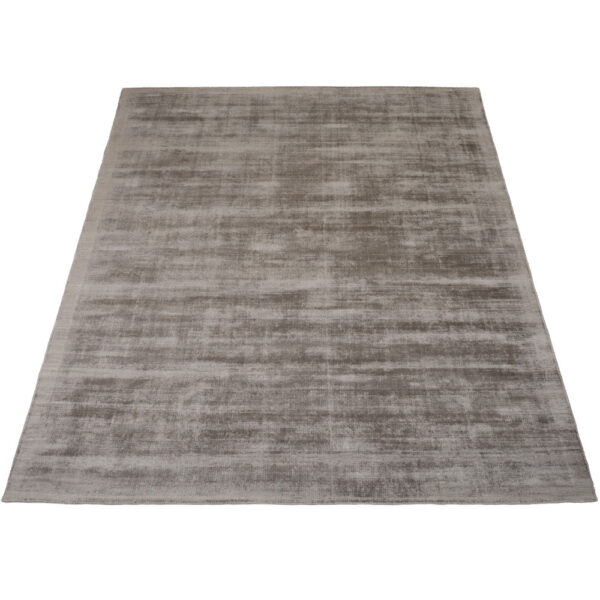 Vloerkleed Cos – Viscose Taupe 200 x 280 cm foto 1